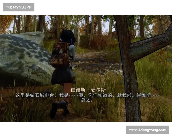 辐射4VR版:完美装Mod指南 辐射4VR版:完美装Mod指南